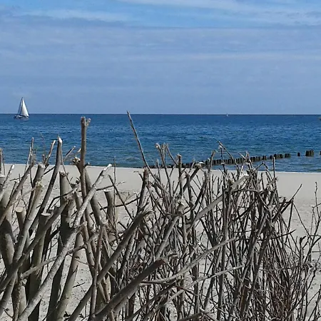 Wojciech Jastrzębia Góra